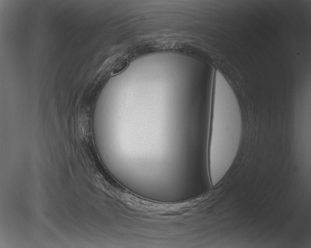 X0000085810035200703161041