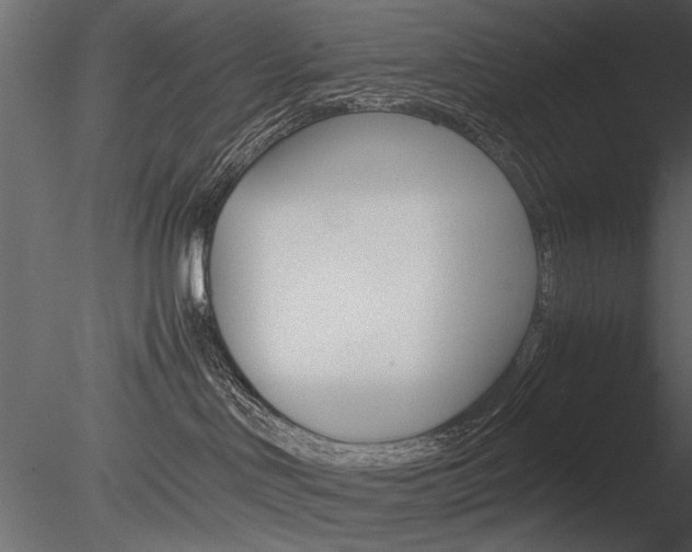 X0000085810046200703161040