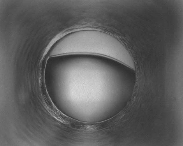 X0000085810056200703161040