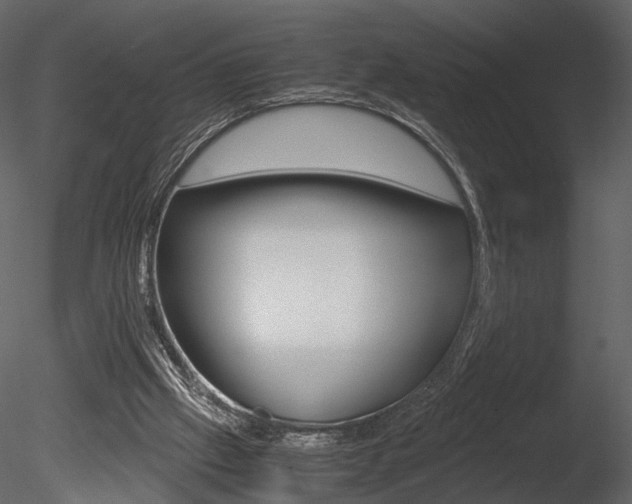 X0000085810057200703161040