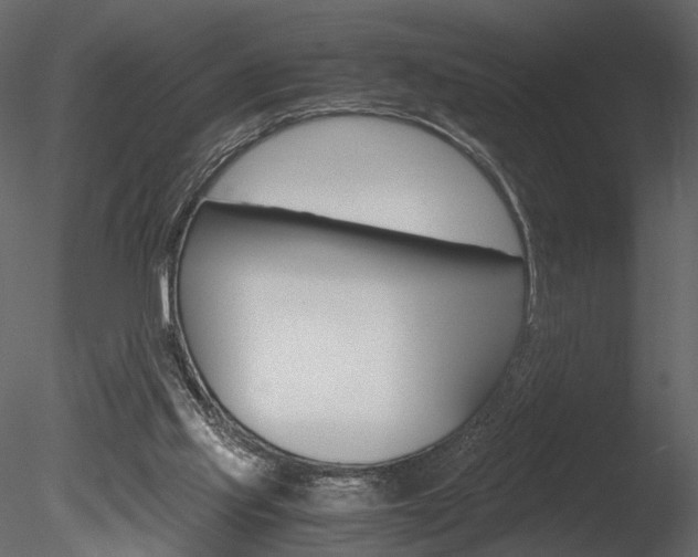 X0000085810061200703161040