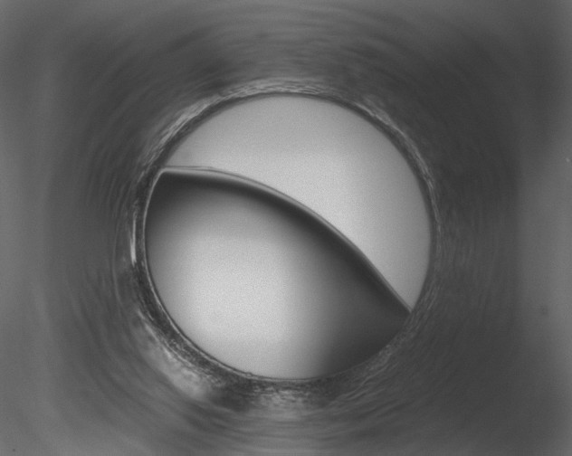X0000085810062200703161040