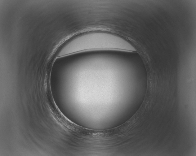 X0000085810064200703161040