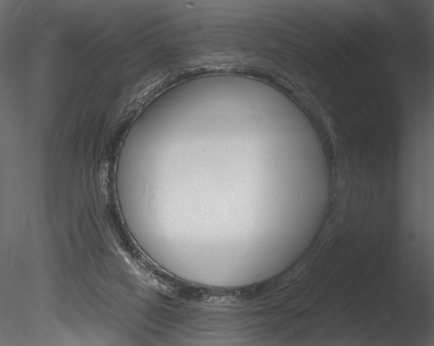 X0000085810066200703161040