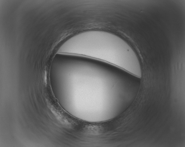 X0000085810067200703161040