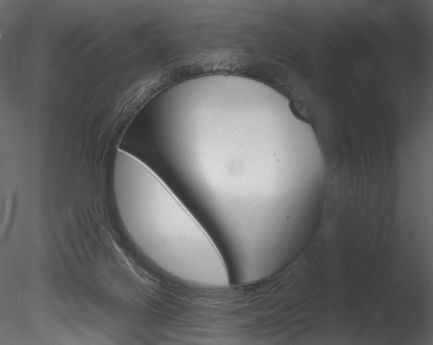 X0000085810070200703161040