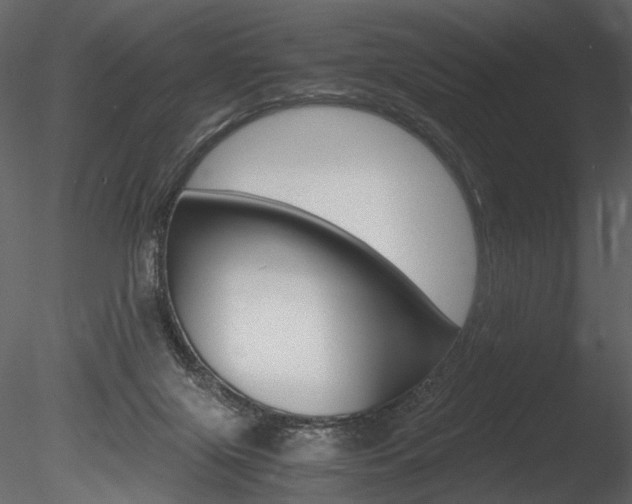 X0000085810071200703161040