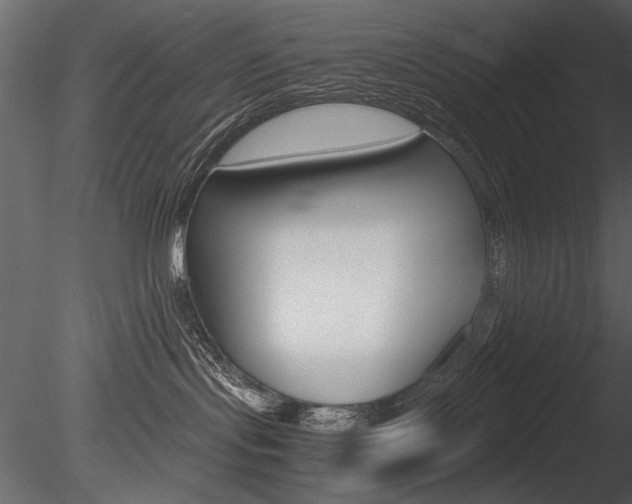 X0000085810095200703161040