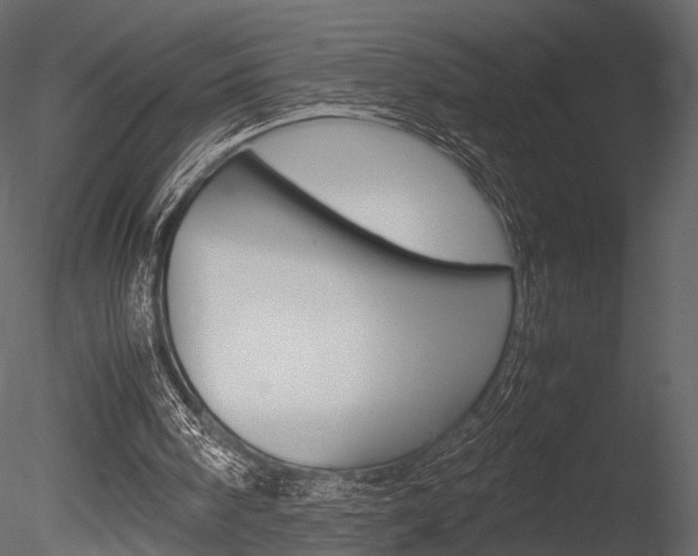 X0000085810098200703161040