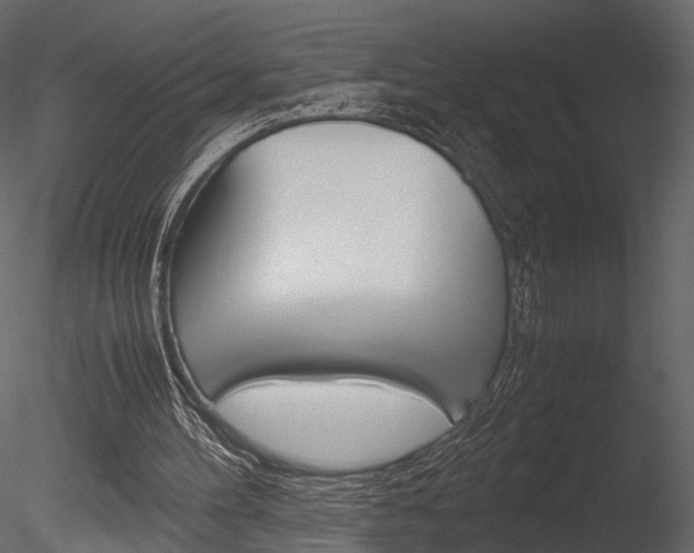 X0000085810100200703161040