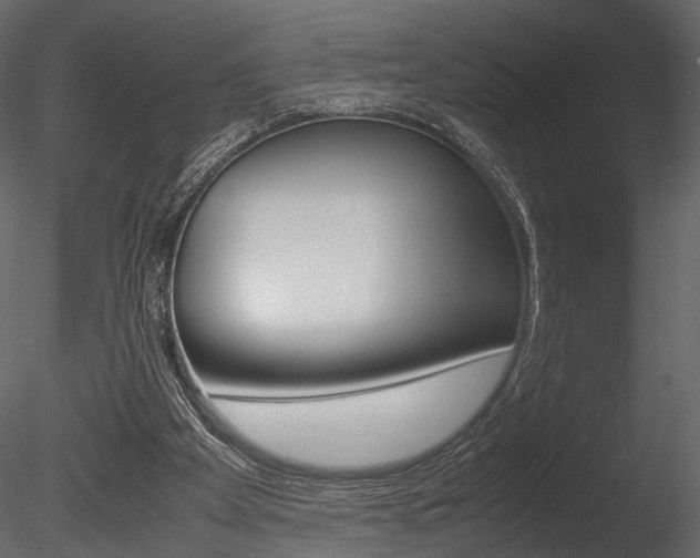 X0000085810105200703161039