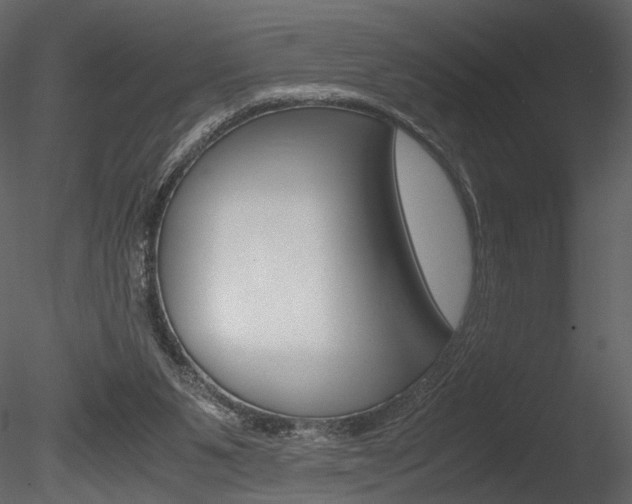 X0000085810111200703161039