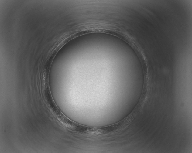 X0000085810113200703161039