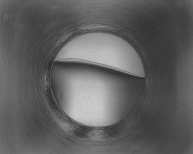 X0000085810119200703161039