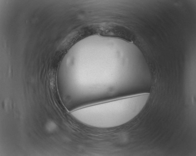 X0000085810129200703161039