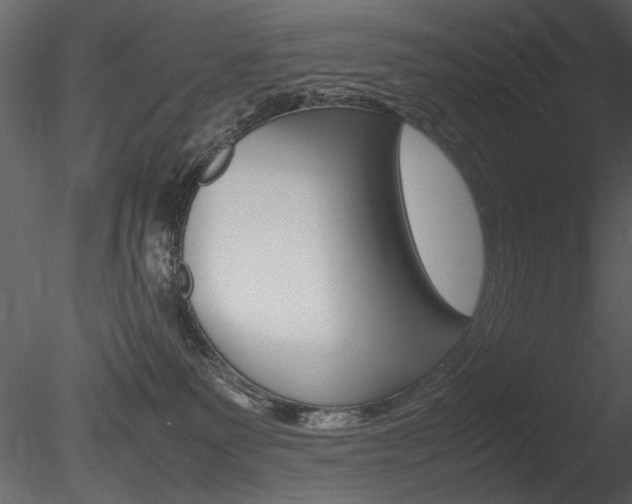 X0000085810135200703161039