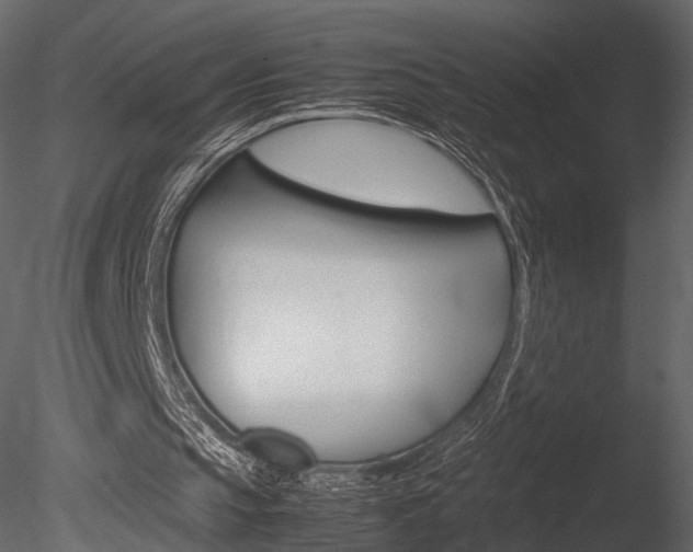 X0000085810145200703161038