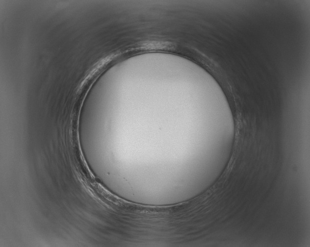 X0000085810155200703161038