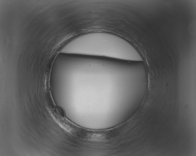 X0000085810157200703161038