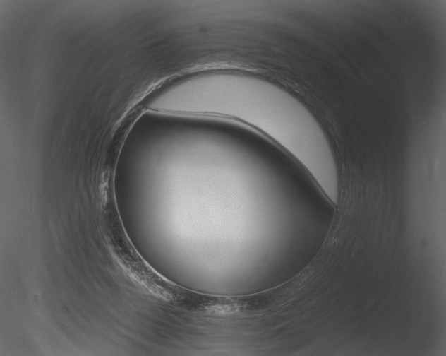X0000085810160200703161038