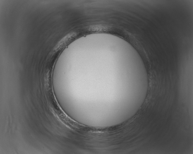 X0000085810163200703161038