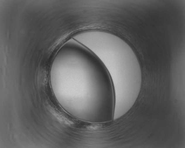 X0000085810164200703161038