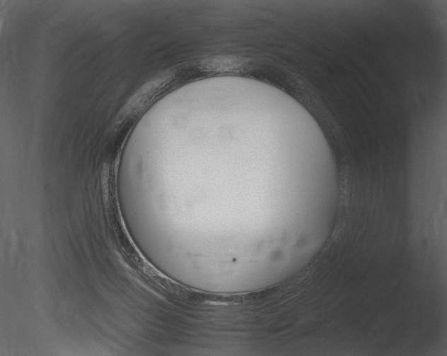X0000085810167200703161038