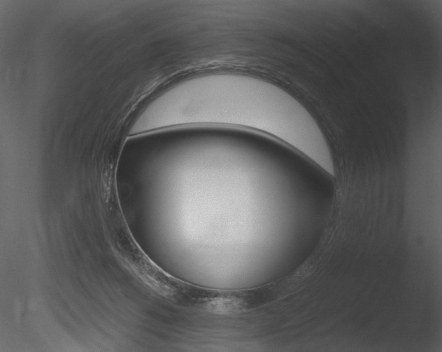 X0000085810168200703161038