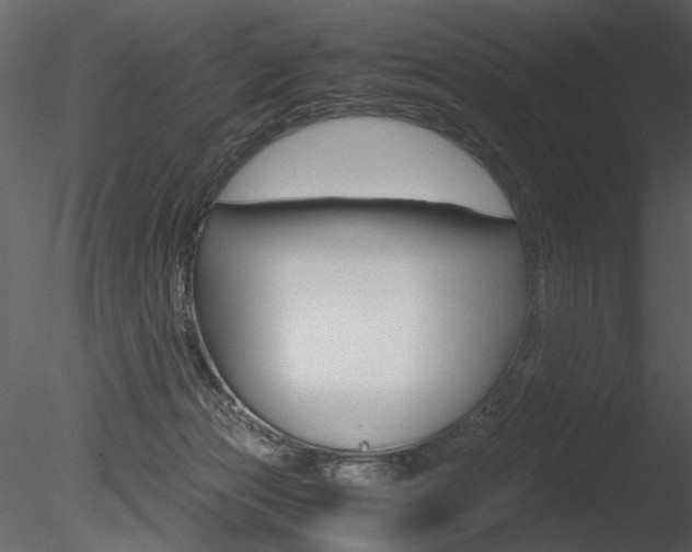 X0000085810173200703161038
