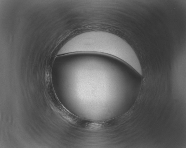 X0000085810176200703161038