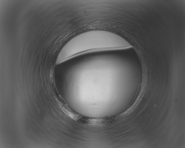 X0000085810192200703161039