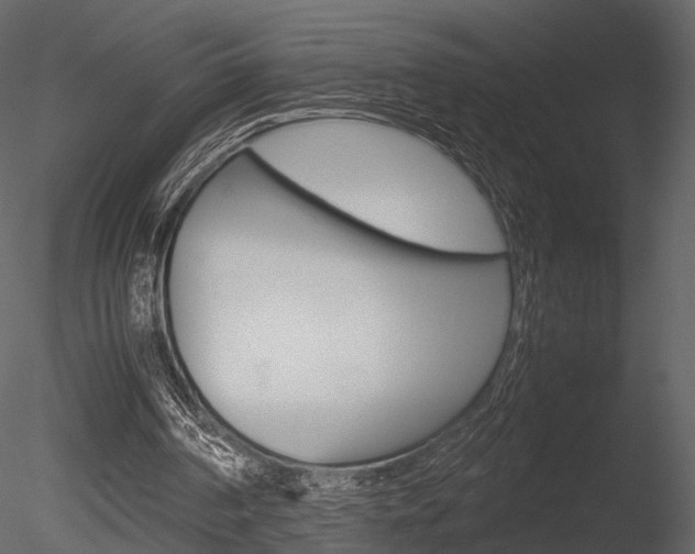 X0000085810194200703161038