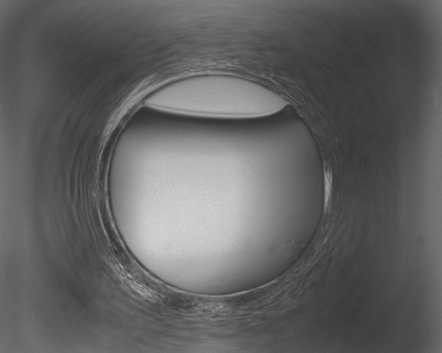 X0000085810195200703161038