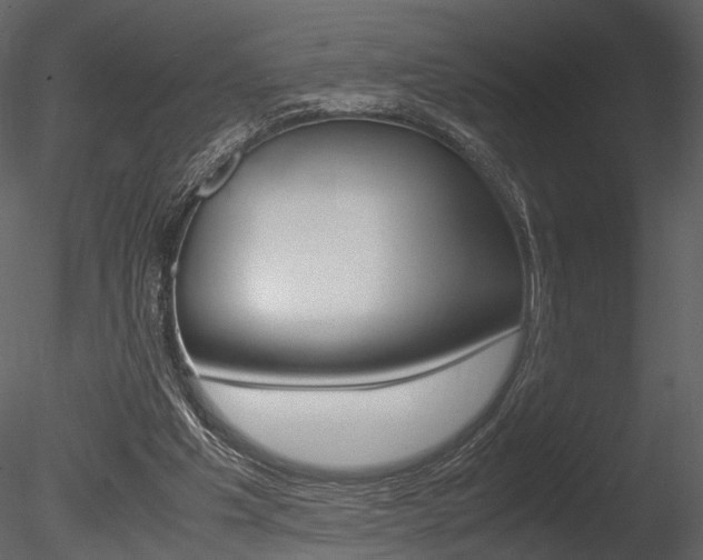 X0000085810201200703161038