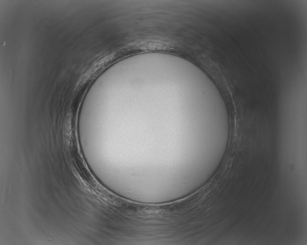 X0000085810202200703161038
