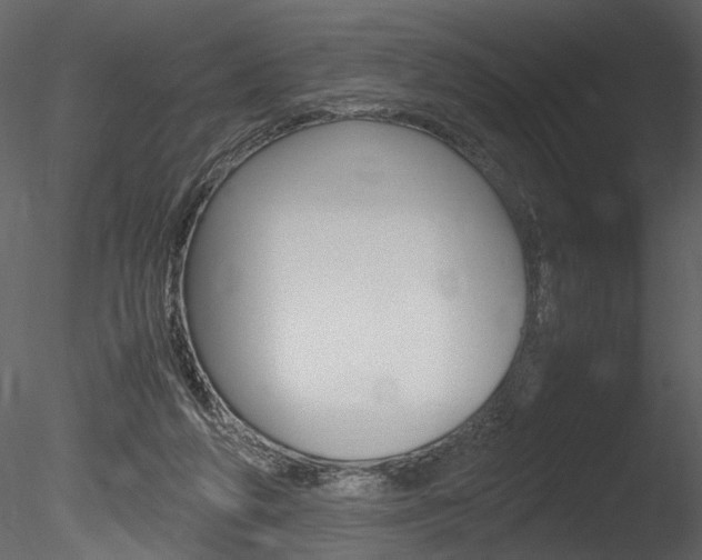 X0000085810210200703161038