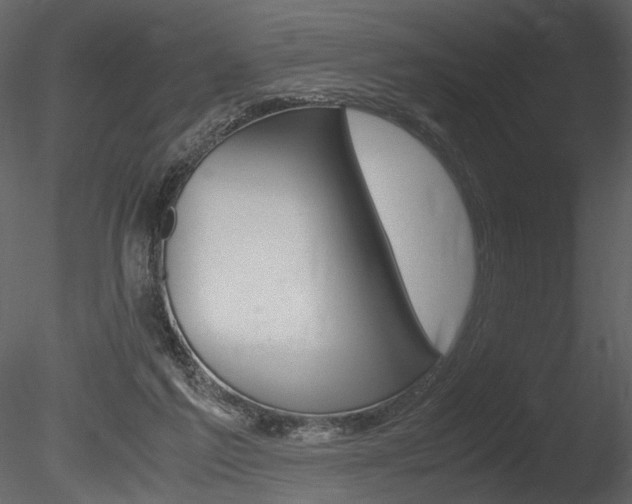 X0000085810213200703161038