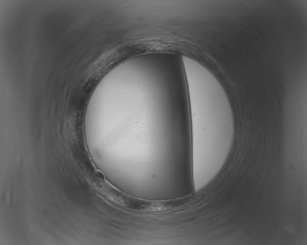 X0000085810217200703161037