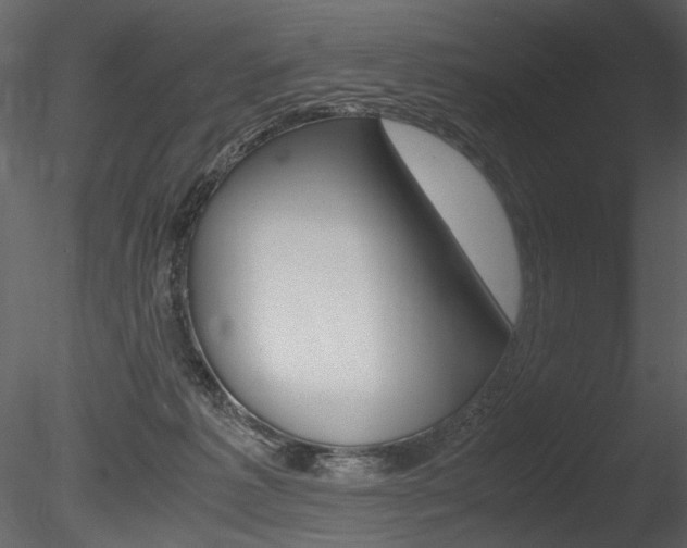X0000085810221200703161037