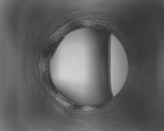 X0000085810233200703161037