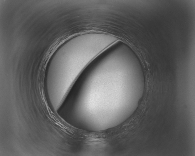X0000085810241200703161036