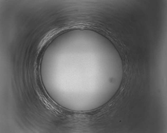 X0000085810242200703161036