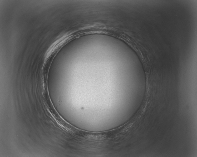 X0000085810245200703161036