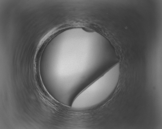 X0000085810246200703161036