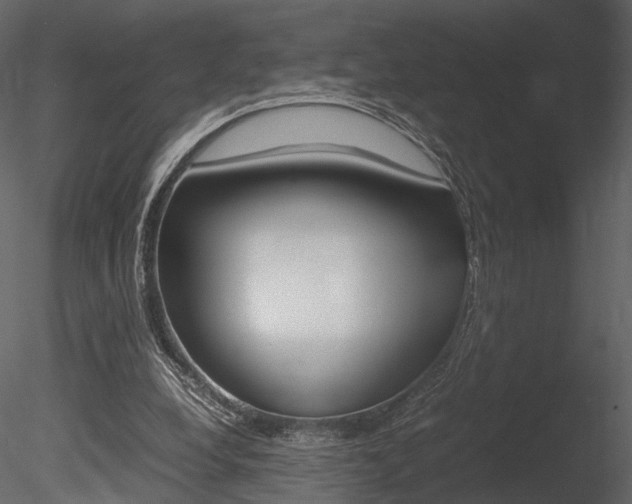 X0000085810248200703161036