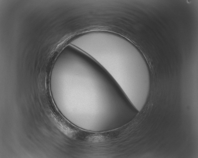 X0000085810253200703161036