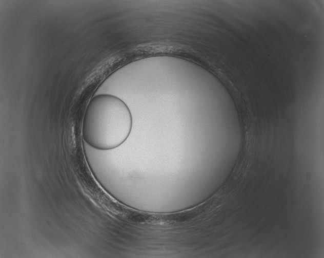 X0000085810254200703161036