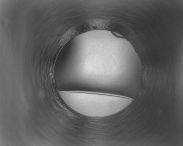 X0000085810285200703161037