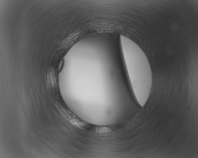 X0000085810287200703161037