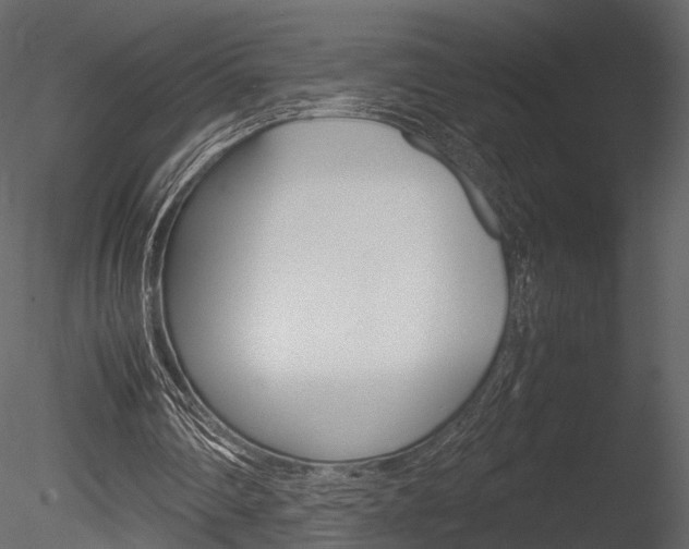 X0000085810290200703161036